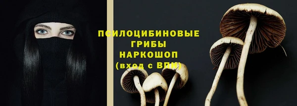 молекула духа Балабаново