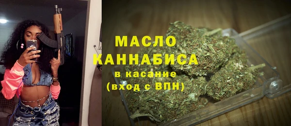твердый Арсеньев
