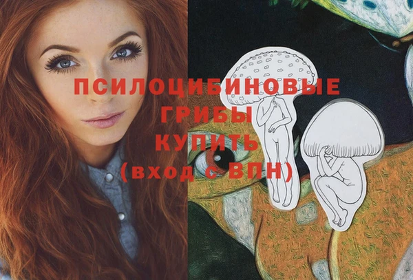 соль ск Балахна