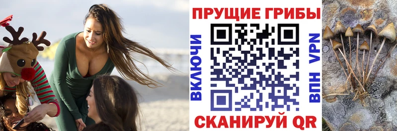 ОМГ ОМГ ONION  Бор  Псилоцибиновые грибы ЛСД 